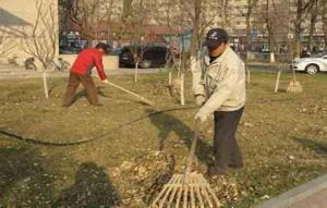 室外綠化養(yǎng)護12